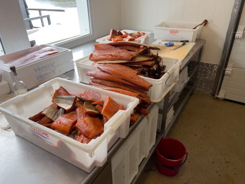Drågens Smokehouse – ekte røyksmak fra havet, foredlet på tradisjonelt vis ytterst i havgapet.